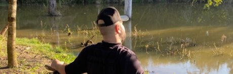 Mannyzera étoile adulte des photos