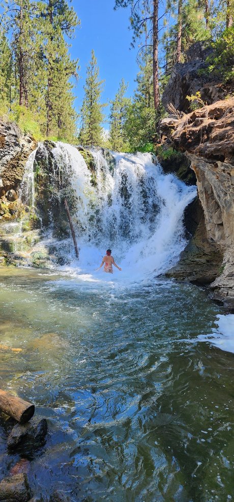 Bramble modèle gratuit des photos
