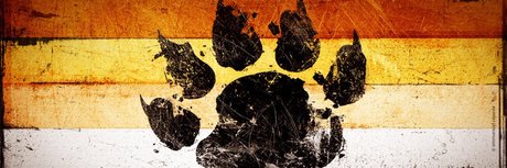 icanseequeerly étoile gratuite galerie