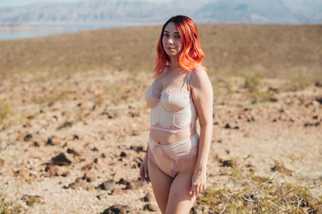 Tayler Texas star du porno photos