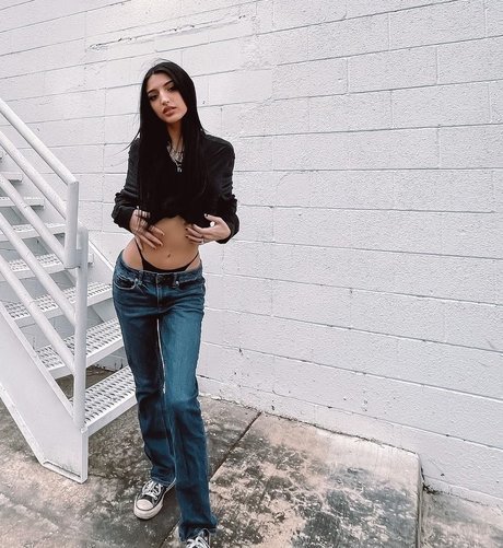 Alisonrainer étoile collection