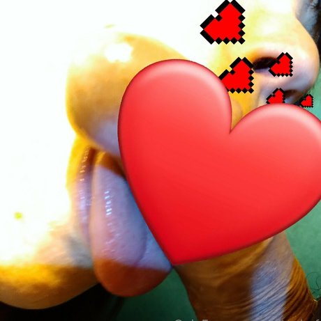 épouse pute onlyfans plutôt meilleur images