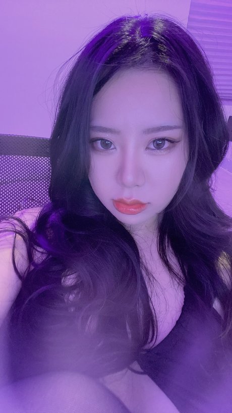 Vandalbunnie Fotoaufnahmen