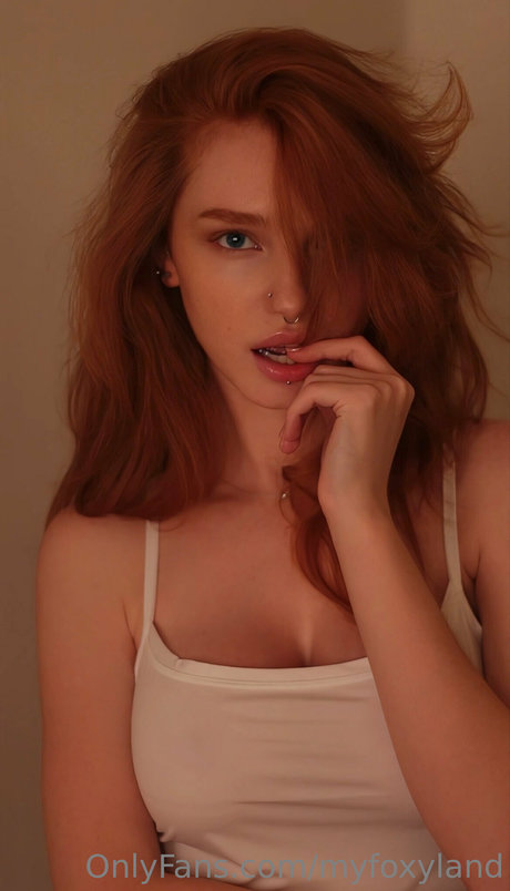 Myfoxyland étoile adulte collection