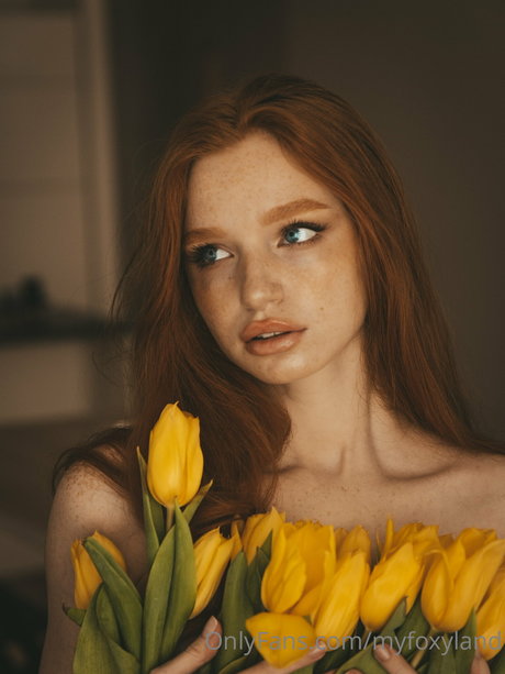 Myfoxyland étoile hd photos