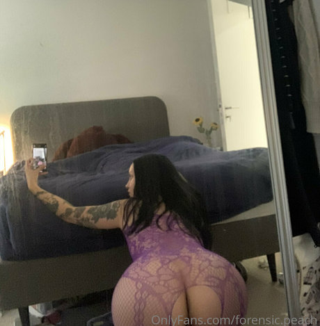 _MK modèle gratuit archive