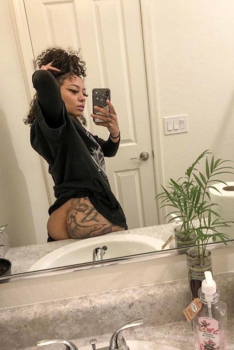 fans en fauteuil roulant uniquement belle gratuite collection