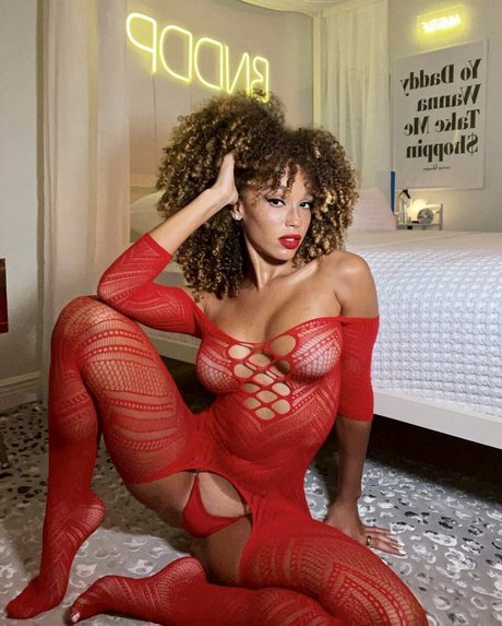 Catdagreat top star photo