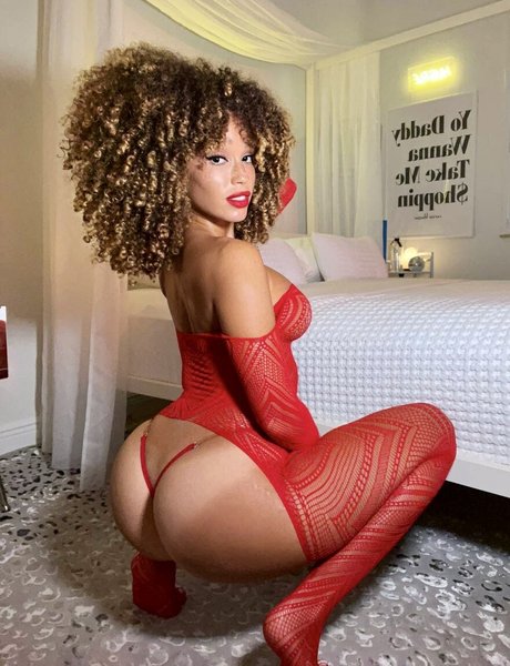 Catdagreat étoile hd galerie