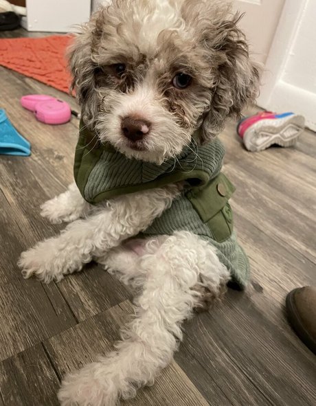 im over covid actrice de sexe collection