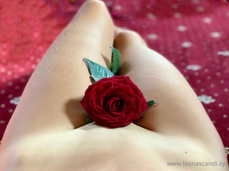 anime babe onlyfans haute définition adulte archive