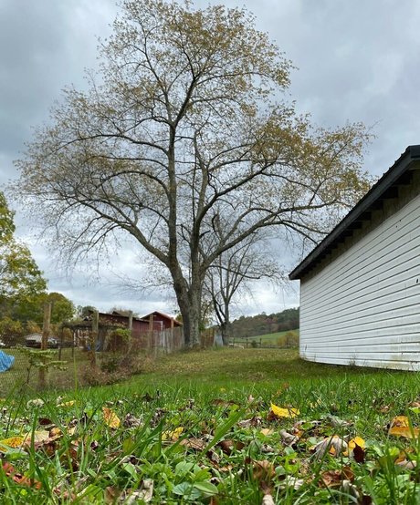 bébé mignon onlyfans sexy belle galerie