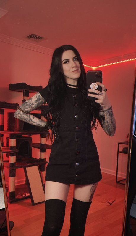 MsKILLIONAIRE haut de star du porno collection