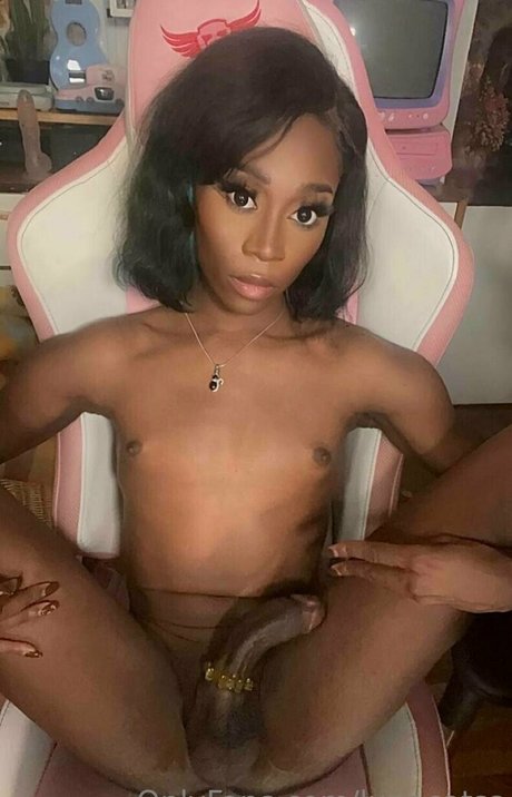 lunacatss étoile hd galerie