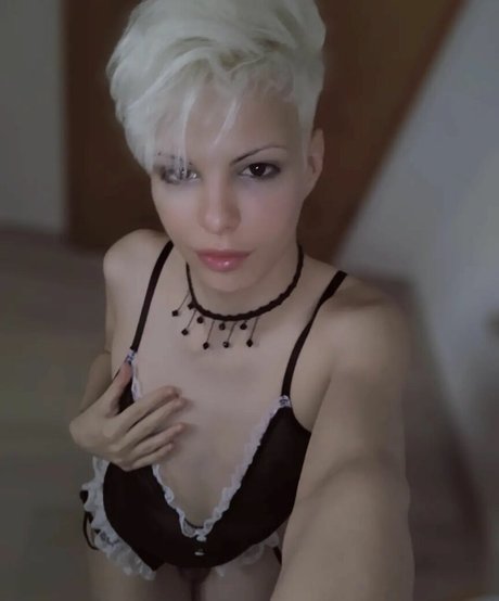 chaton potelé uniquementfans bon photos