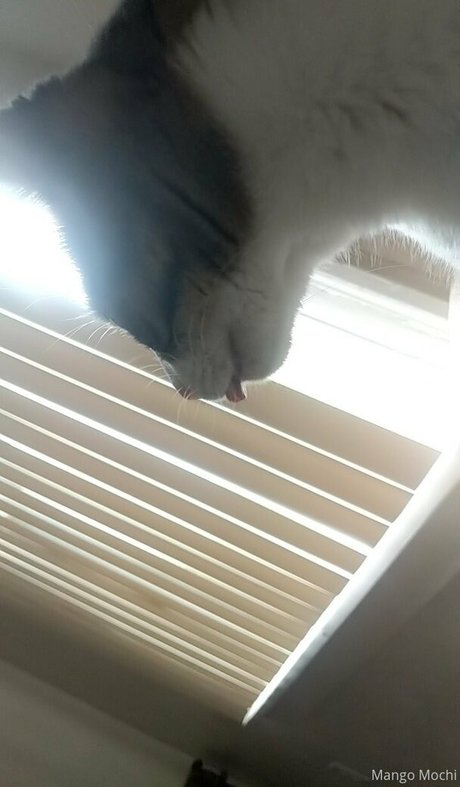 maeeparfait belle actrice photos