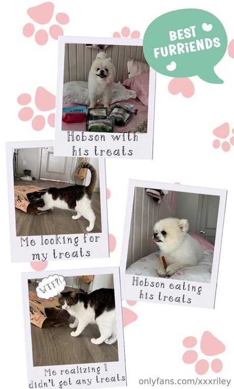 fellation asiatique onlyfans top magnifique photos