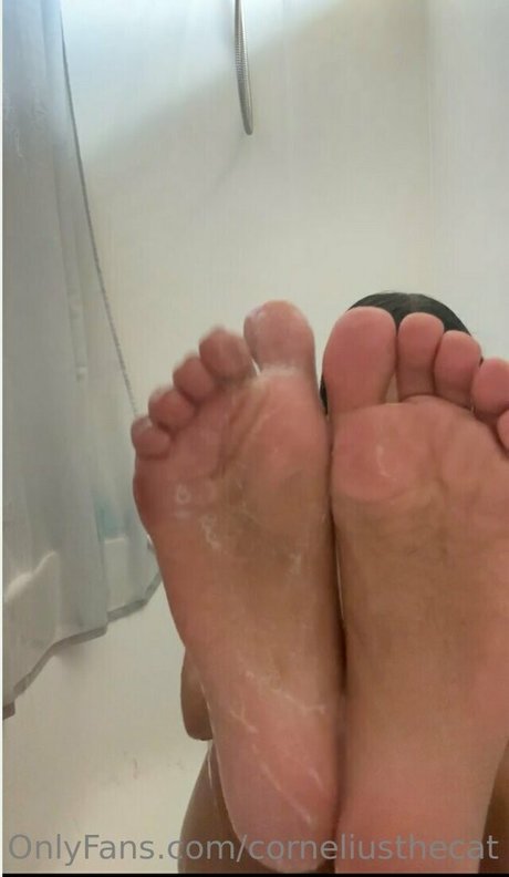 corneliusthecat star exclusive photos