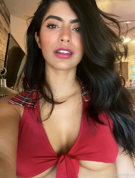 corneliusthecat mannequin images