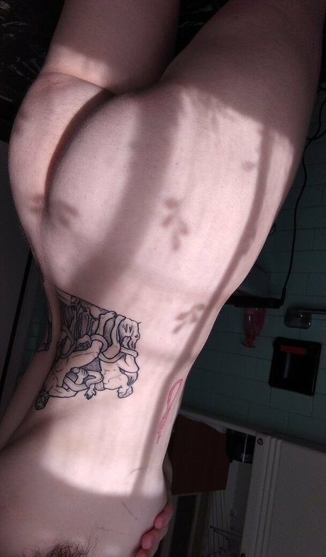 fer raglia modèle magnifique photo