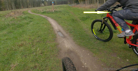 ann antics actrice hd collection