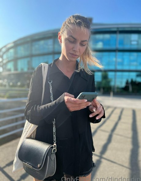 dindondin haut modèle images