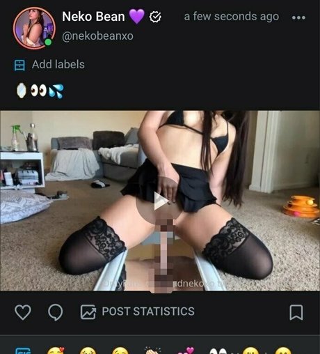 nekobeanbb art star du porno photos