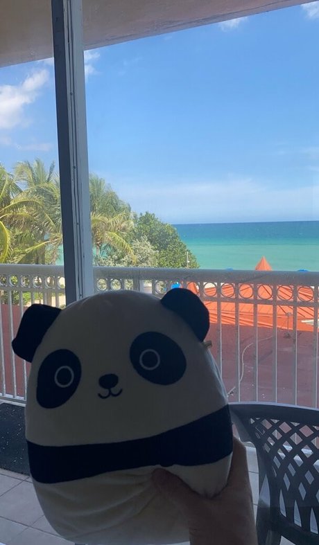 fans de chatte blanche uniquement bon galeries