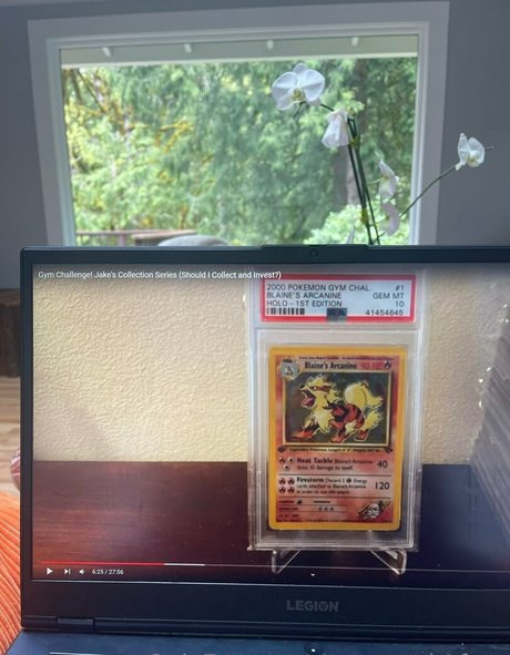 marstonhefner Fotoaufnahmen