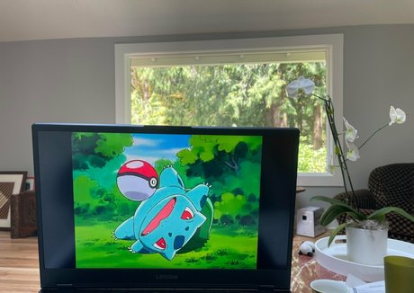 marstonhefner étoile hd image