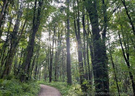 marstonhefner haut modèle img