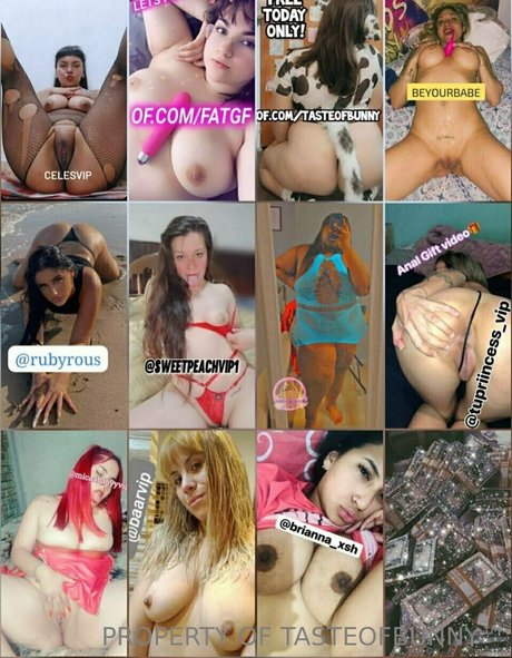 fans asiatiques célèbres sympa, meilleur collection