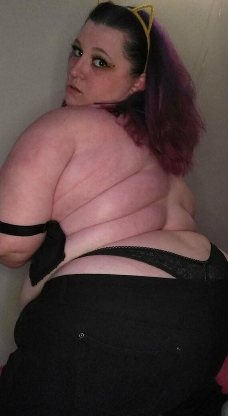 misstastee nus étoiles archive