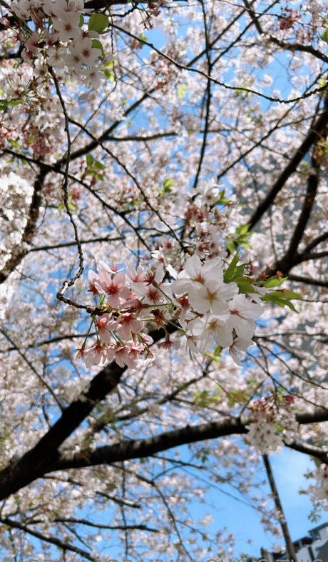 grosse bite baise onlyfans nu chaud photo