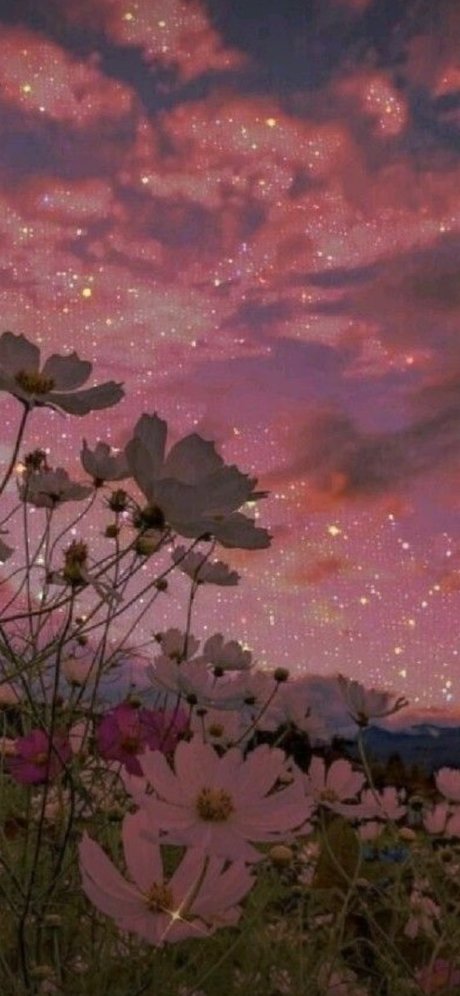 The Thicc Mermaid star du porno galerie