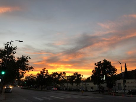 BeardedWizard sexe star galeries