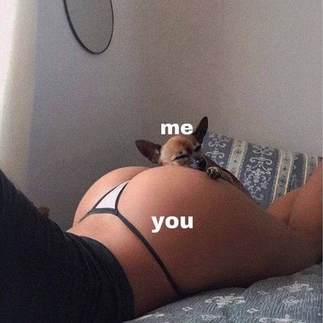 Malik Joshua actrice adulte galerie