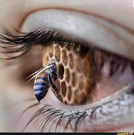 épouse pute onlyfans des nus sympas photo