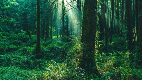 u211992439 étoile magnifique photo