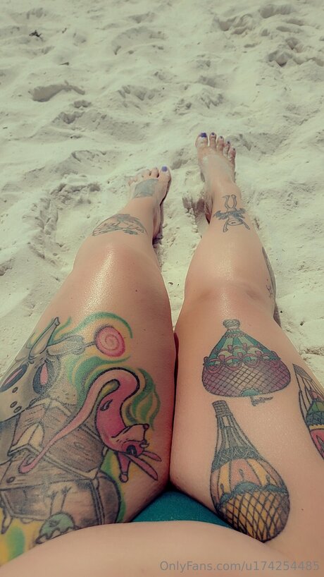 fans trans noirs uniquement bel art archive