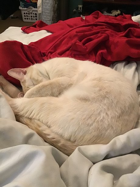 u8360874 étoile xxx img