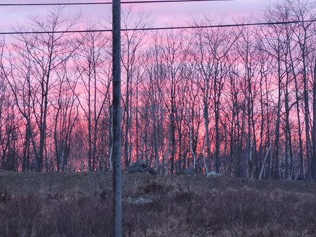 Pocky Kitty modèle img