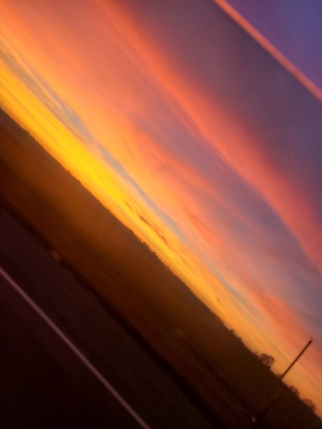 CCR nus star du porno img