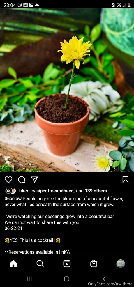 chatte arabe onlyfans nu meilleur collection