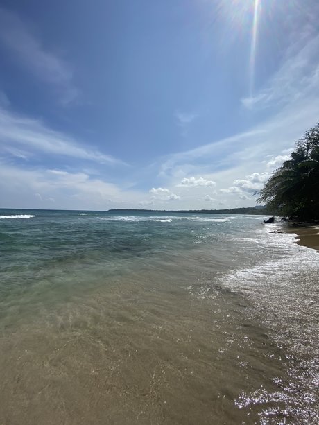 Estefan a BG actrice pornographique photo