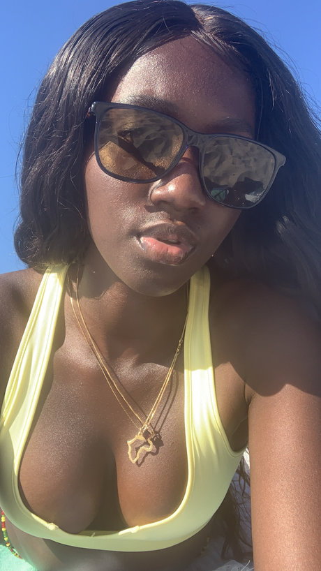 Segi nus star du porno image