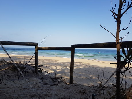 Sierra Skies star pornographique image