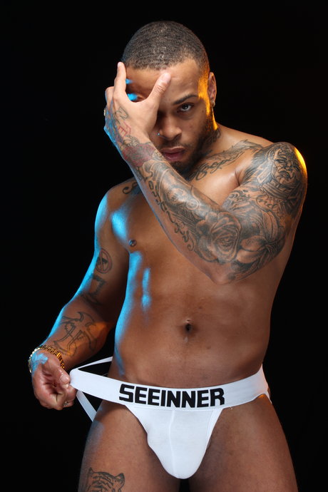 W3stXL modèle hd des photos