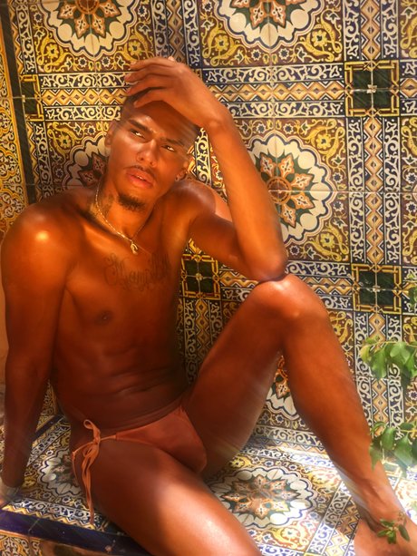 Pisan Dreams actrice chaude archive