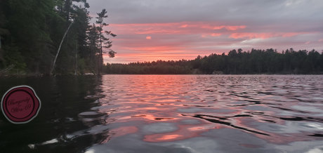 BurgundyWine69 She They_ meilleure étoile image